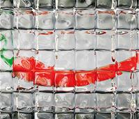 Fermented frozen products